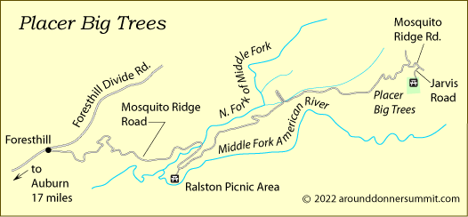 Placer Big Trees map, Tahoe National Forest, CA