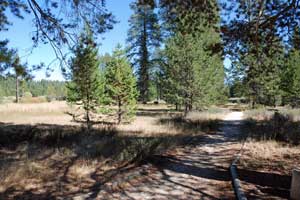 Donner Camp trail, CA