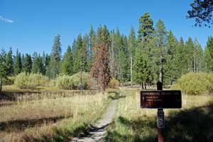 Commemorative Overland Emigrant Trail, Tahoe National Forest, CA