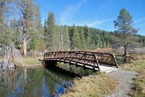 Donner Memorial State Park nature trail, CA