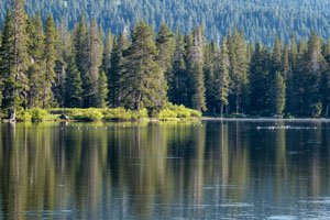 Webber Lake, Truckee Donner Land Trust, CA